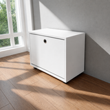 Single-Door Shoe Cabinet - White